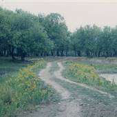 Sauvie Island - Mud Lake