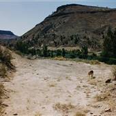 Warm Springs Tunnel - Warm Springs Reservation