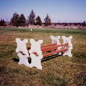 Loomis Equestrian Ranch