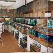 Don's Tropical Pet Center