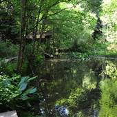 Audubon Society of Portland