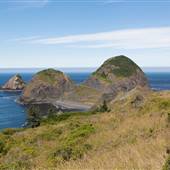 Port Orford Heads State Park