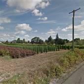 Al's Garden Center and Greenhouses