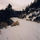 Crown Pacific Road
