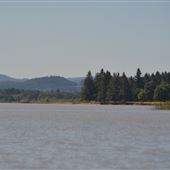 Fern Ridge Reservoir
