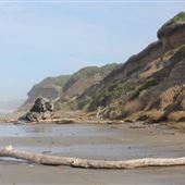 Ona Beach State Park