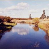 K Bar S Ranch