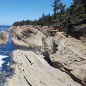 Shore Acres State Park