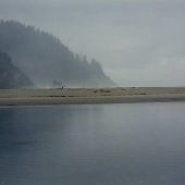 Neskowin Beach
