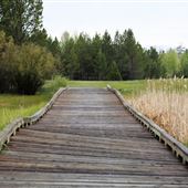 Caldera Springs (Sunriver)