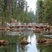 Fall Creek (winter)