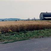 Dominic Road - Mount Angel