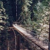 Drift Creek Suspension Bridge