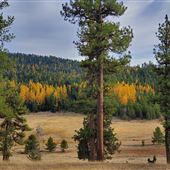 Big Summit Prairie (BLM Land)
