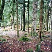 Lost Creek Campground