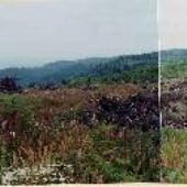 Weather Bureau Tower