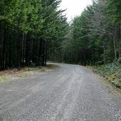 Forest Service Road 3680