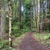 Tryon Creek State Natural Area