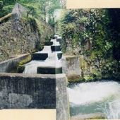 North Scappoose Creek Fish Ladder