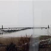 Knappton Cove Quarantine Center