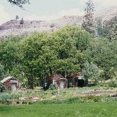 Buckhorn Springs Resort