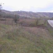 Green rolling hills - Roseburg