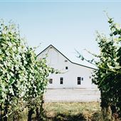 Arborbrook Vineyards