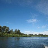 Willamette River - Jackson Bend Landing