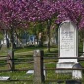 Mount Hope Pioneer Cemetery