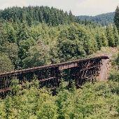 Willamette Pacific Railroad Tracks - Willamette Valley