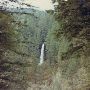 Silver Falls State Park