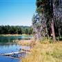 Spring Creek Ranch