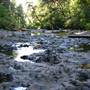 Silver Falls State Park