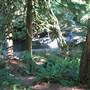Silver Falls State Park