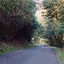 Whittacker Creek Campground