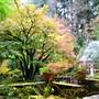 Leach Botanical Garden