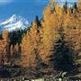 Mount Hood