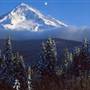 Mount Hood