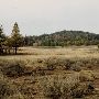 Robinson Spring Fire