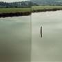 Lewis & Clark River