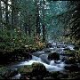 Lost Creek