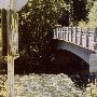 McKenzie River