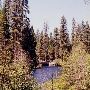 Metolius River