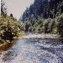 Siuslaw River North Fork