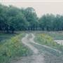 Sauvie Island - Mud Lake