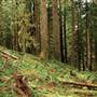 Old Salmon River Trail