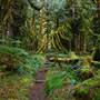 Old Salmon River Trail