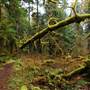 Old Salmon River Trail