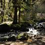 Old Salmon River Trail