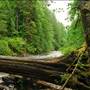 Old Salmon River Trail